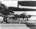 Doolittle