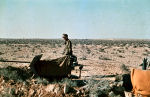 North Africa