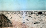 North Africa