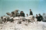 North Africa