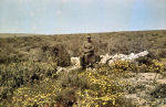 North Africa