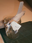 Swift FR.5