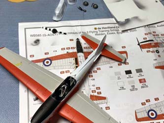 Chipmunk T.10