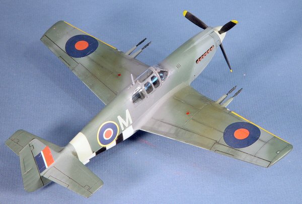 Accurate Miniatures 3410 1/48 North American Mustang Mk.IA Build