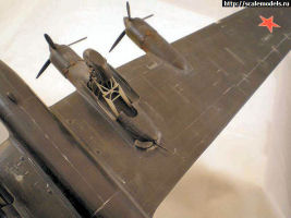 Pe-8