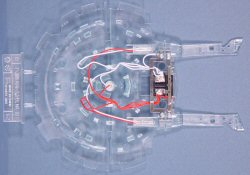 NX-01