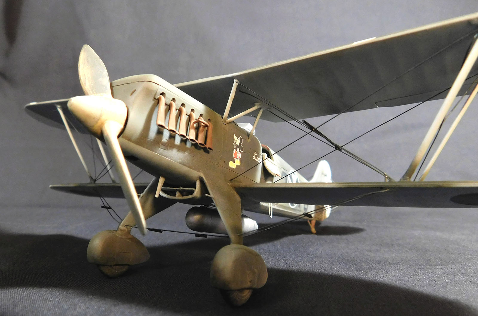 Eduard 1140 1/48 He 51C Legion Condor Build Image 14