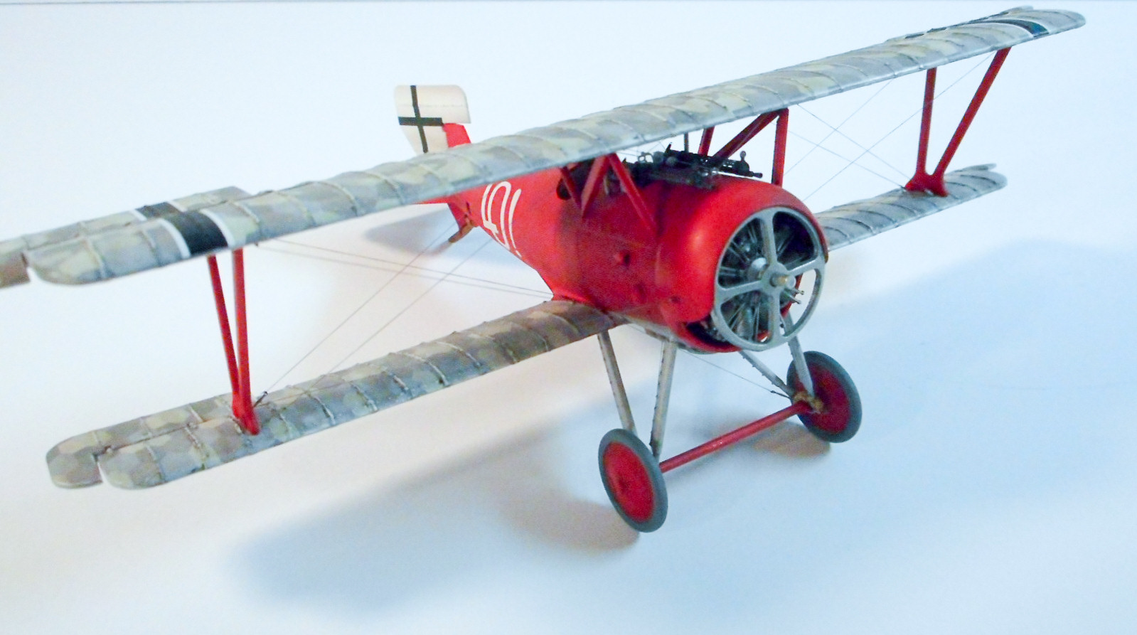 Eduard 8256 1/48 SSW D.III Build Image 21