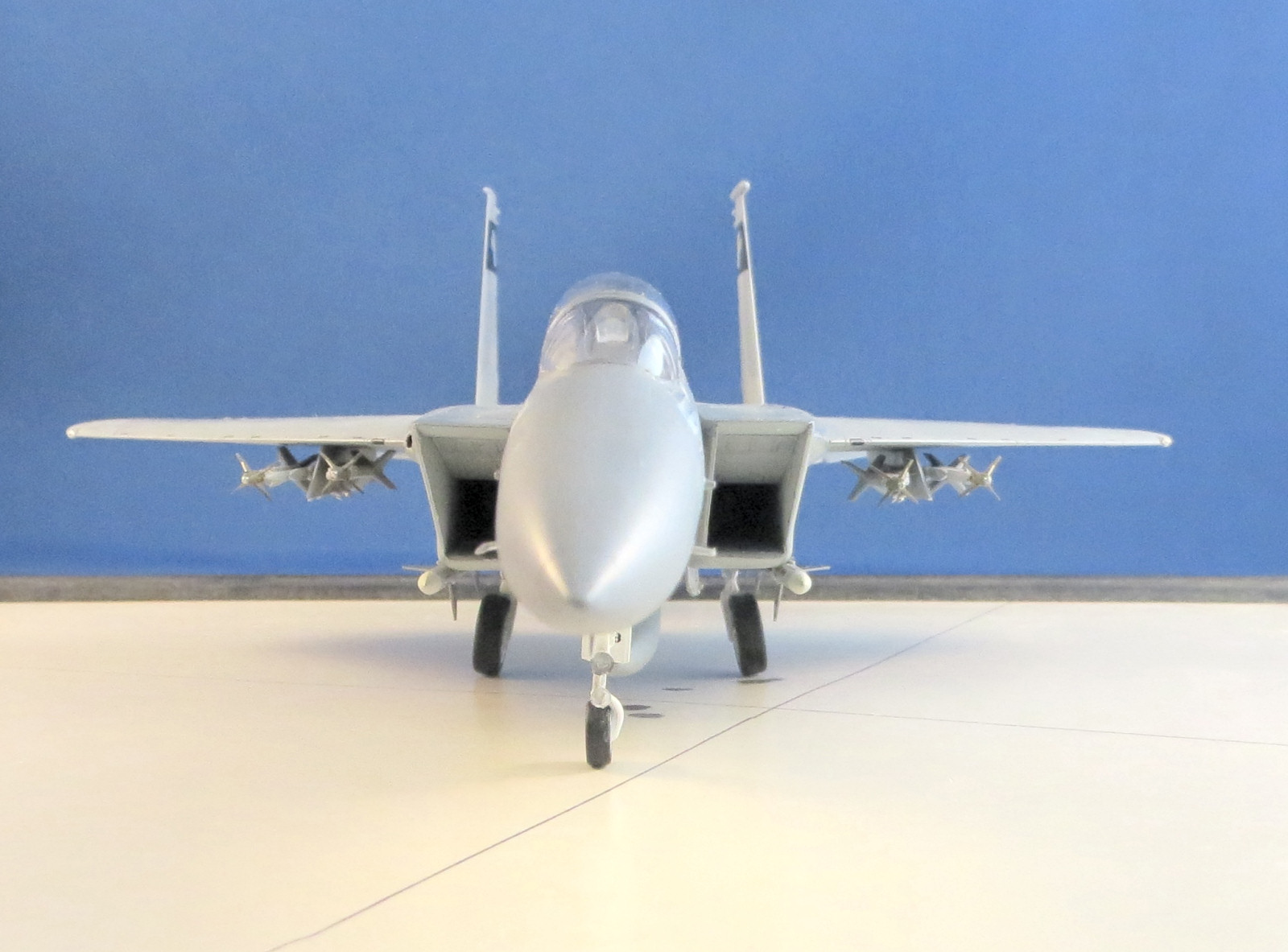 Hasegawa 1/72 F-15C Eagle Build Review Image