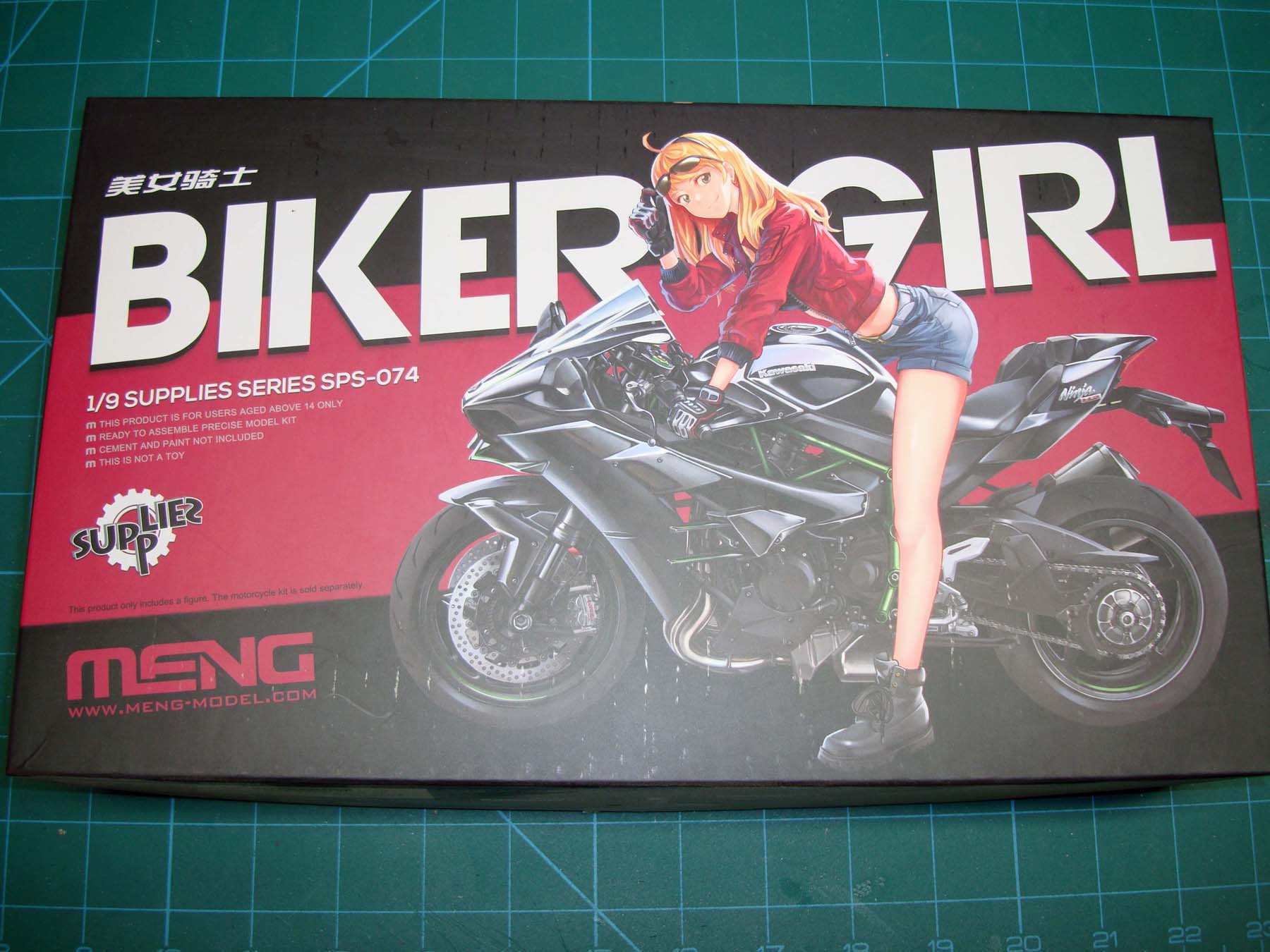 Italeri 7403 1/9 German Military Motorcycle with Sidecar Build Image 02