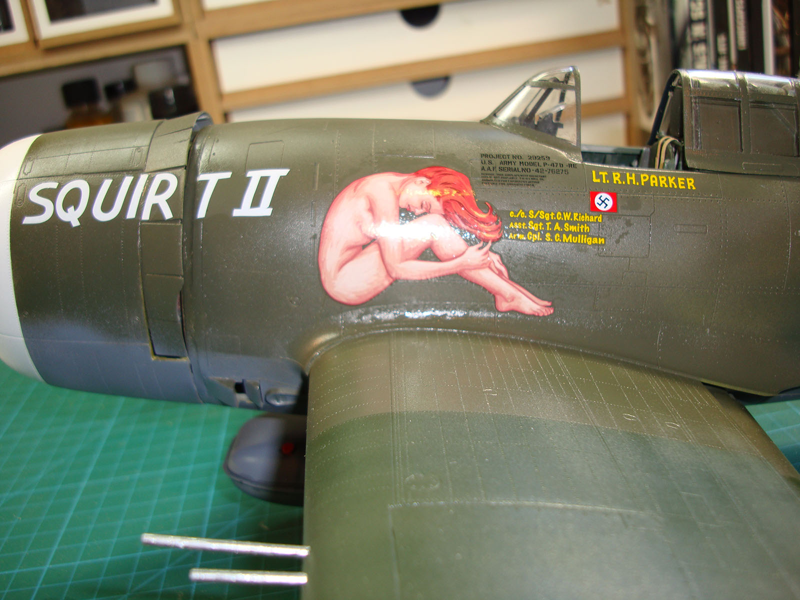 Kinetic 1/24 P-47D Razorback Thunderbolt Build Image