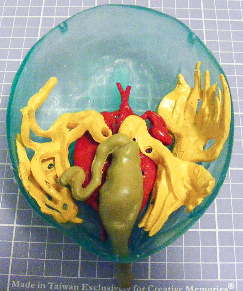 Lindberg 0301 1/1 Transparent Bullfrog Build Image 01