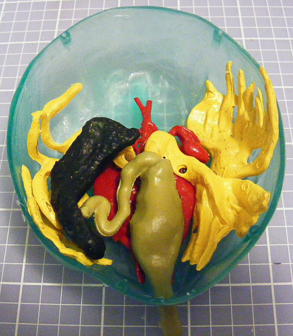 Lindberg 0301 1/1 Transparent Bullfrog Build Image 02