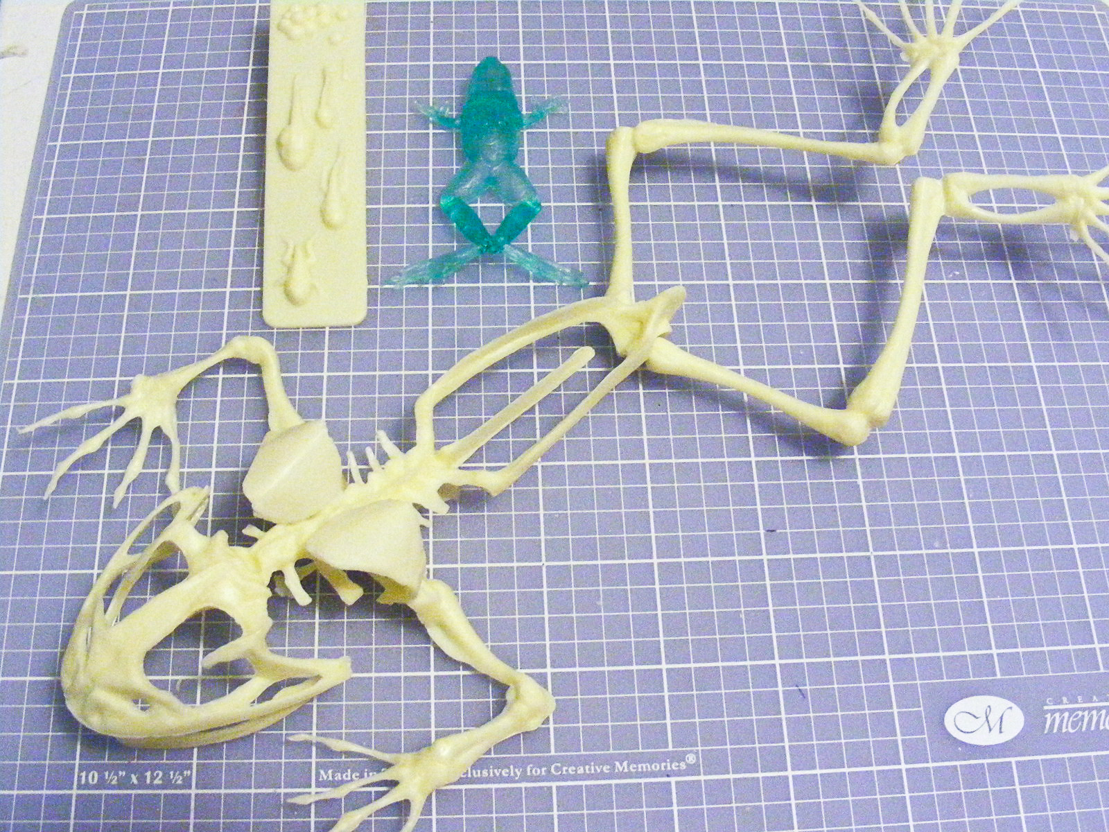Lindberg 0301 1/1 Transparent Bullfrog Build Image 07