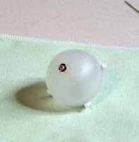 Sputnik