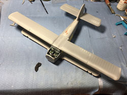 An-2 Colt