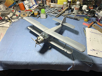 An-2 Colt