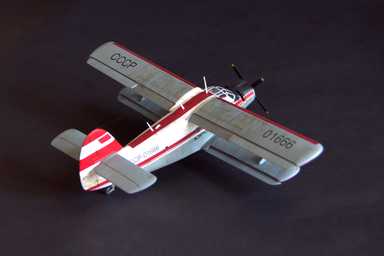 Valom 48002 1/48 An-2 Colt Build Image 40