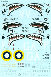 P-40