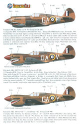 P-40