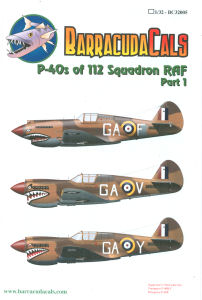 P-40
