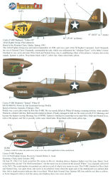 P-40