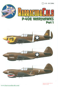 P-40