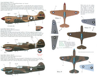 P-40