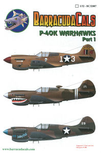 P-40