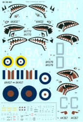P-40