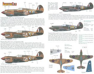 P-40