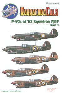 P-40