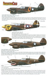 P-40