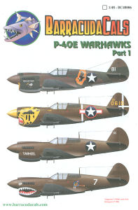 P-40