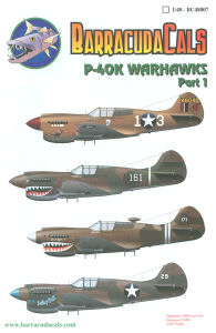 P-40