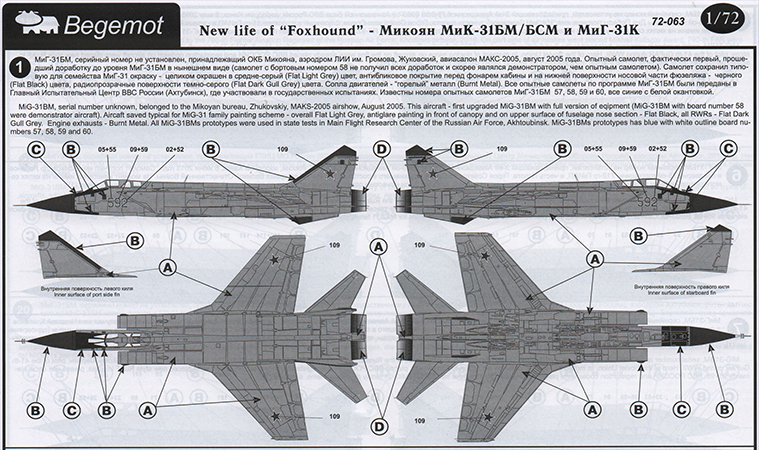 Mikoyan MiG-31BM/BSM and MiG-31K Foxhound