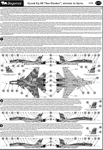 Sukhoi Su-33 Sea Flanker mission in Syria