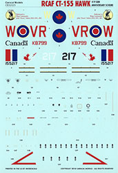 T-6