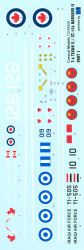 T-6