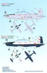 T-6
