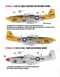 P-51D