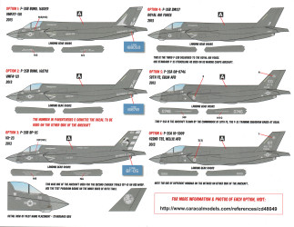 F-35 Joint Strike Fighter