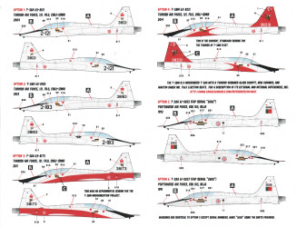 International T-38 Talons of NATO
