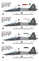 USAF T-38C