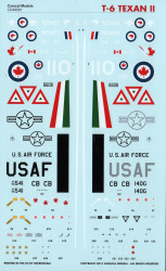 T-6