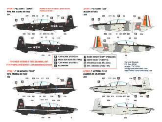 T-6