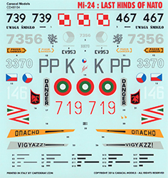 T-6