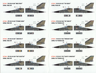 FB-111A SAC 'Dark Varks'