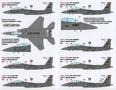 F-15E 'Gunfighters Abroad'