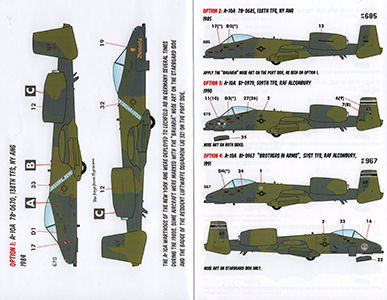 A-10A Cold War Hogs